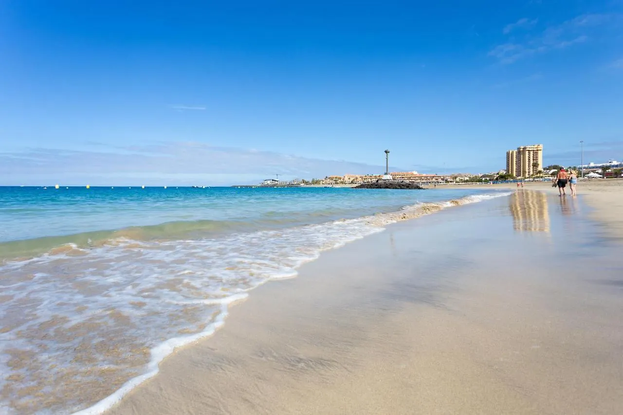 Home2Book Las Americas Apartment Terrace Playa de las Americas   Playa de las Americas (Tenerife)